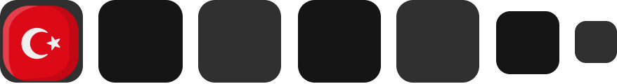 Left Image