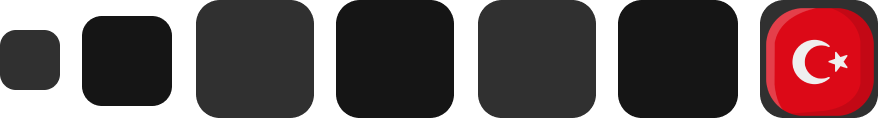 Right Image
